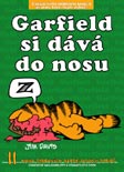 obrázek z archívu  - GARFIELD! (NEKONEČNĚ)